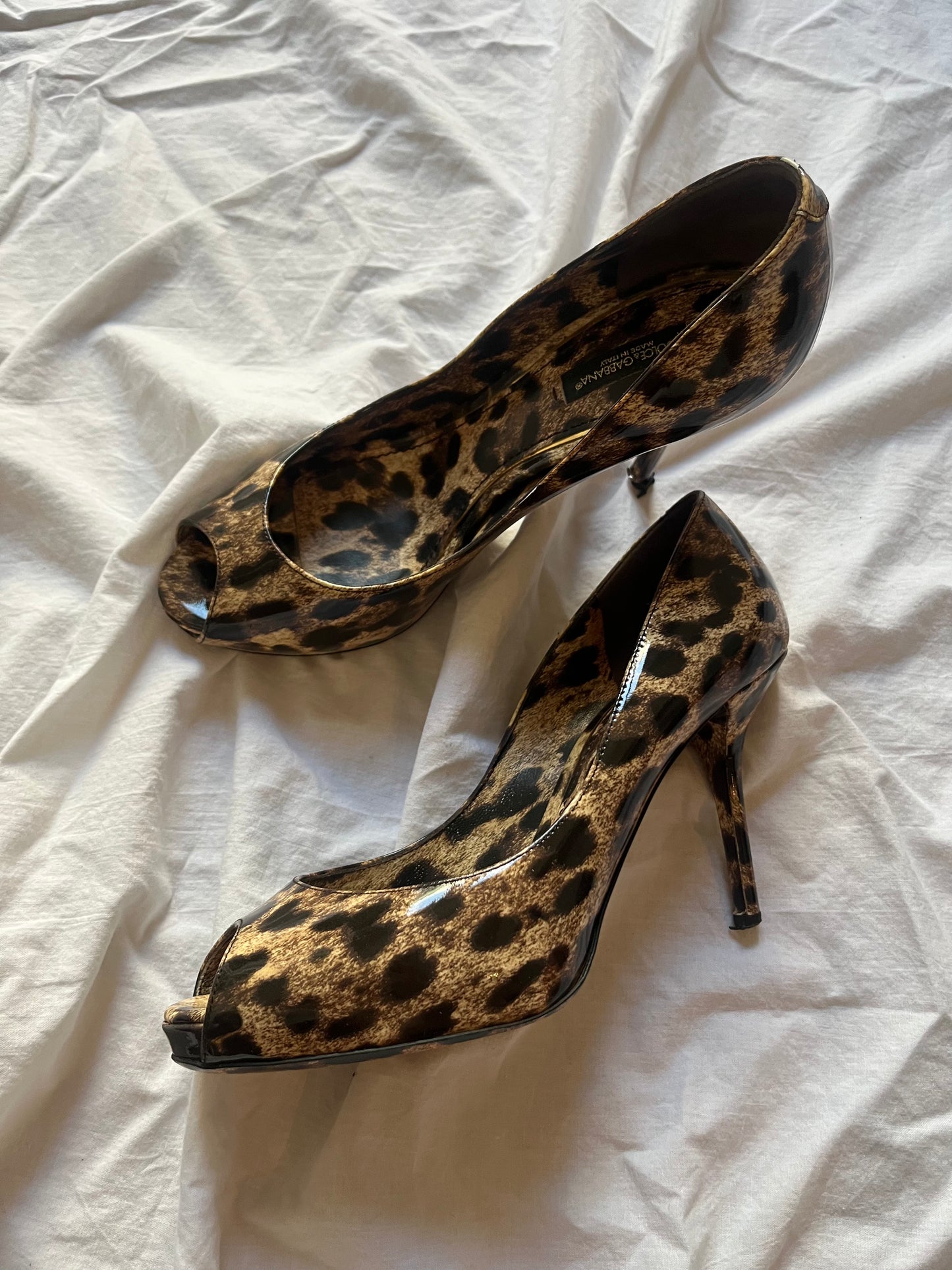 DOLCE & GABBANA