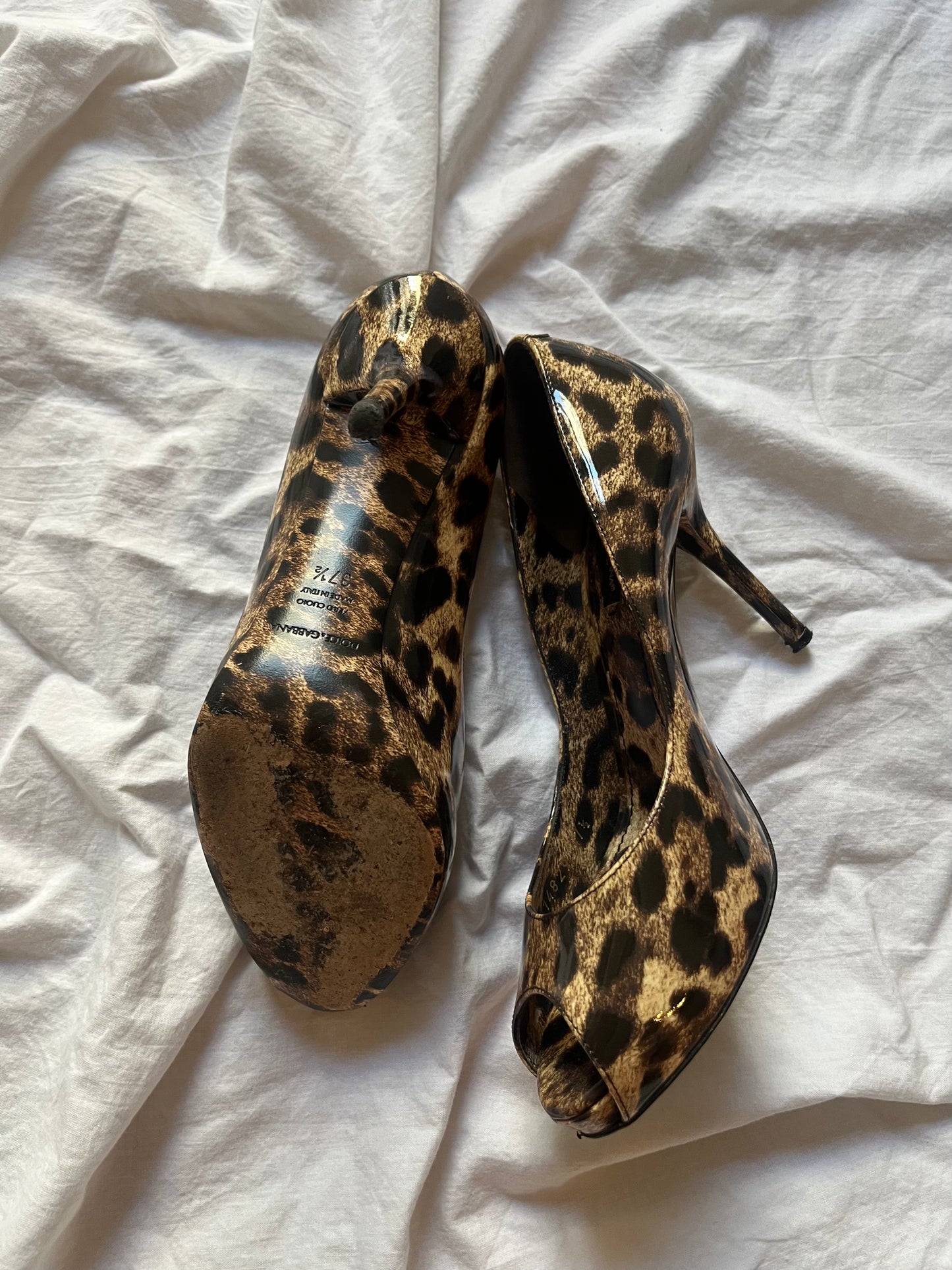 DOLCE & GABBANA
