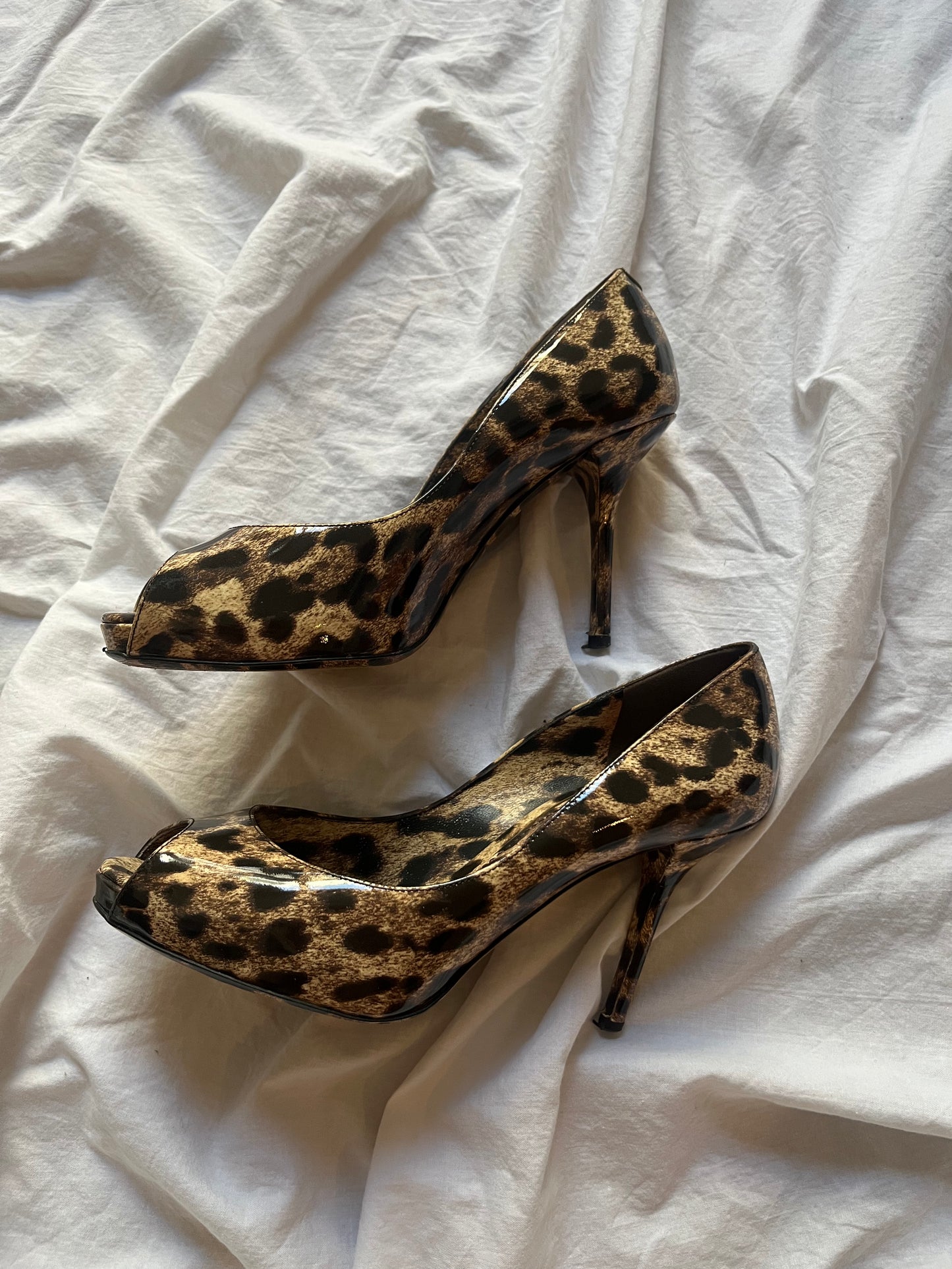 DOLCE & GABBANA